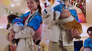 dog and owner matching outfits