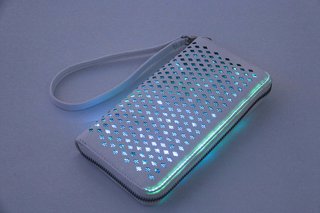 Light Up Purses