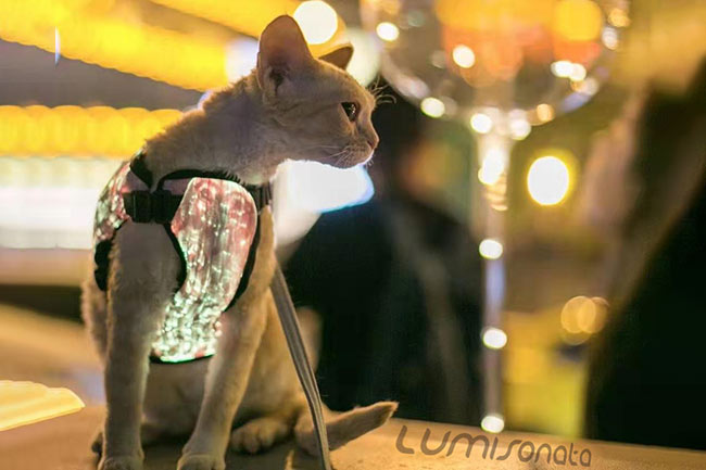 Fiber optic fabric pet clothing