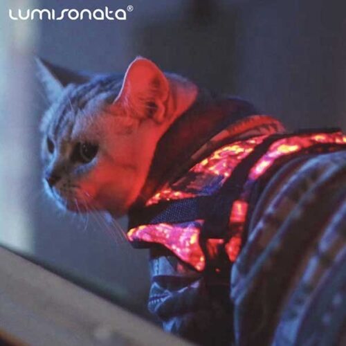 Light Up Dog Harness: Stay Visible During Night Walks with LED Harness - Lumisonata