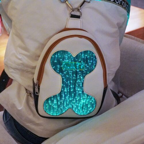 Light Up Master Backpack, Matching Dog And Owner Shirts - Lumisonata