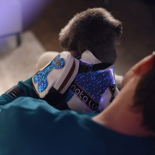 Light Up Pet Backpack, Matching Dog And Owner Shirts - Lumisonata